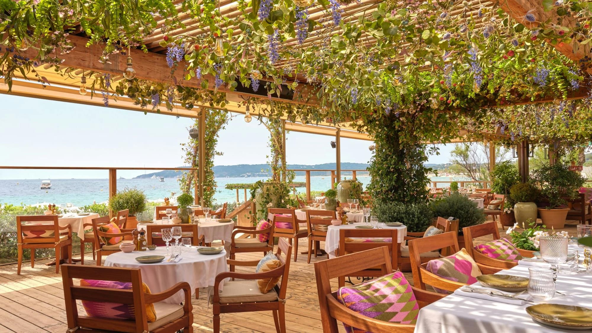 Jardin Tropezina